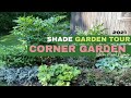 Corner shade garden tour  meilleures plantes pour lombre