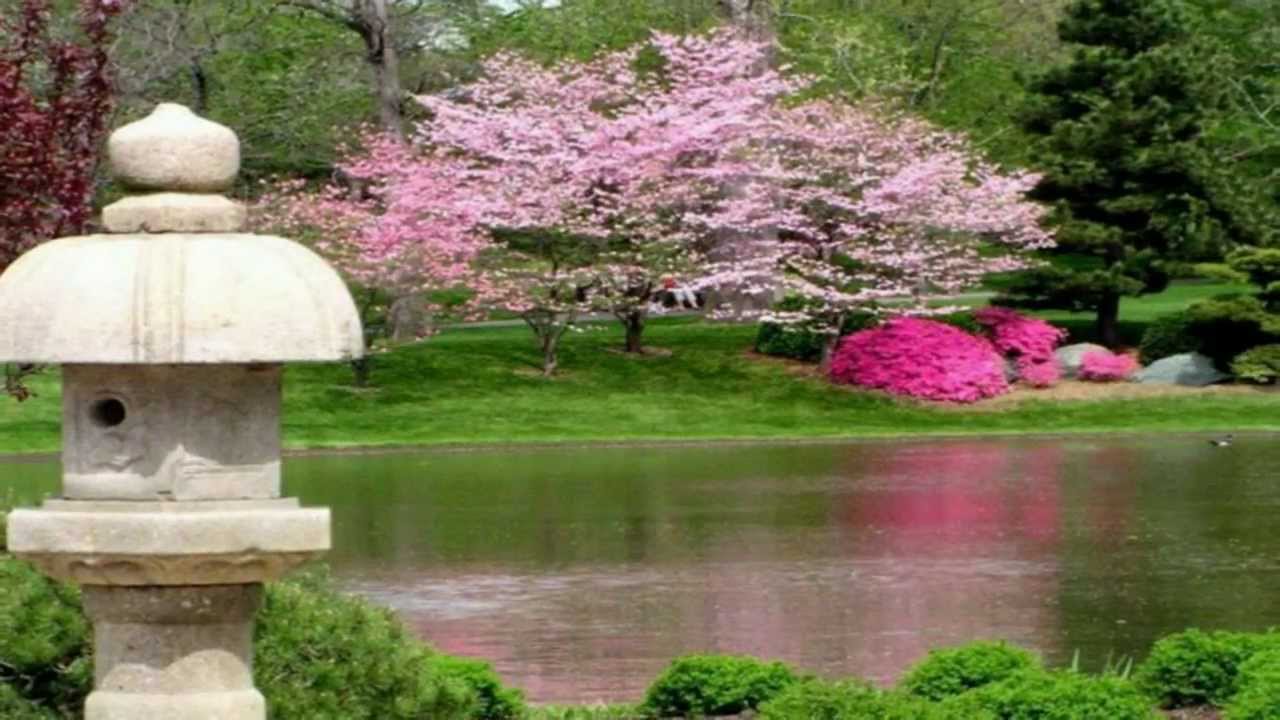 Andre Rieu Humming Chorus Madam Butterfly Japanese Gardens High