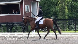 Usdf training level test 2 with judge comments and scores for each
movement this was our first ever dressage show! scored us a 71.207%
welcome to m...
