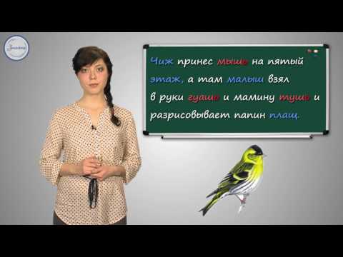 Русский 4 Правописание Ь после шипящин на конце существительных