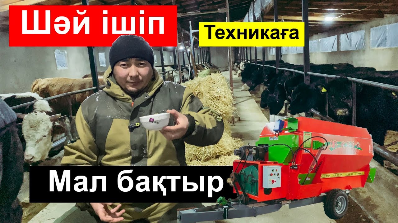 Мал бордақылауды техникаға беріп өзініз шәй ішіп беймарал отырыңыз