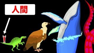 世界で一番大きな生物は何でしょう？