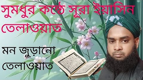 অত্যন্ত দরদী তেলাওয়াত।।سورة يس// সূরা ইয়াসিন বাংলা তরজমা।।Sikhun Surah Yaseen।।quran tilawat