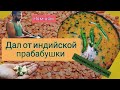 Дал от индийской прабабушки.  Сид готовит. Чечевичная подлива.