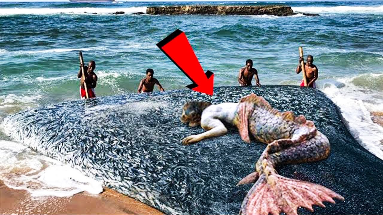 They Found Real Life Mermaid On The Shore Then This Happens