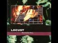 Locust : Moist Moss