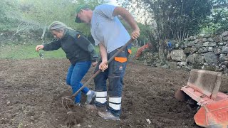 Vaya Tarde El Veterinario El Del Tractor La Lobina San Antonio Y Hasta San Cucufato