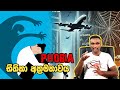 භ ත ක අක රමත වය Phobia