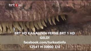 BRT HD KANALININ YERİNE BRT 1 HD GELDİ | 12541 H 30000 3/4