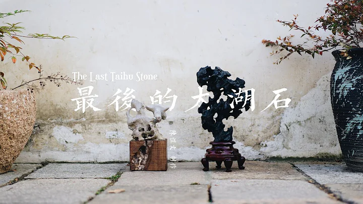 最後的太湖石 The Last Taihu Stone - A film by Kaiwen Chen - DayDayNews