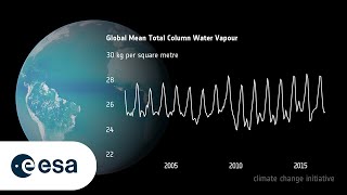 Global Mean Total Column Water Vapour