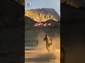 پہاڑوں میں ایک ایسا واقعہ… جس نے سب کو حیران کر دیا! #music #electronicmusic