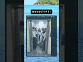 あなたはどうする？　#shorts #おもしろ #おもしろ動画 #面白集 #すごい #twitter #tiktok #いいね #占い