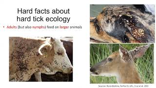 Tick Biology screenshot 1