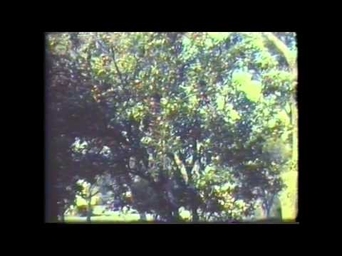 For Francisco - YouTube