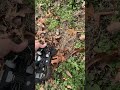 Red cat scout to brushless still running the ditch ￼