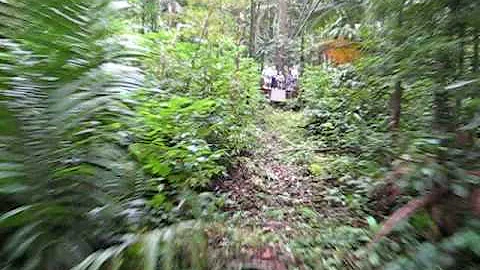 Zip Line St. Lucia Diane Frantz