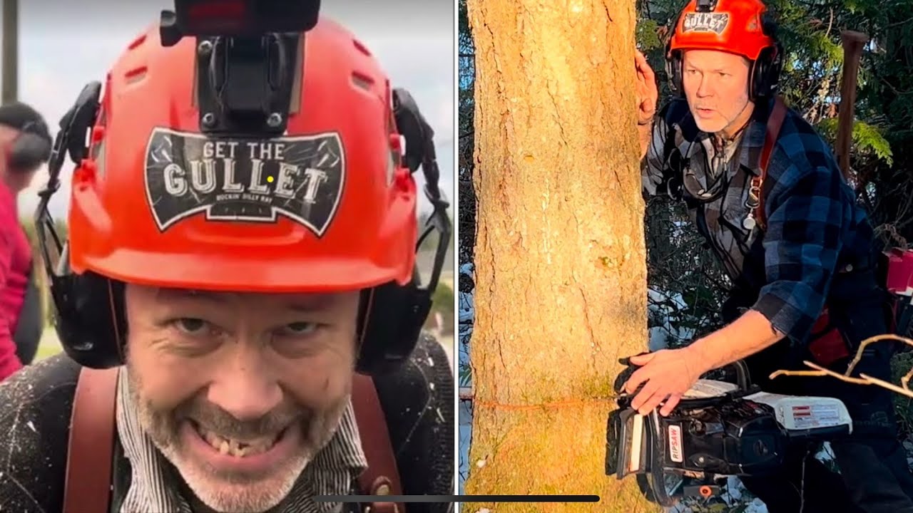 How I cut this tree Down. Step by step. - YouTube