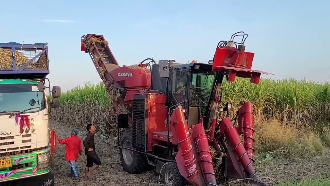 มาดูรถตัดอ้อย CASE IH A4000