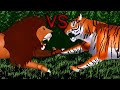 Siberian tiger vs african lion  komation
