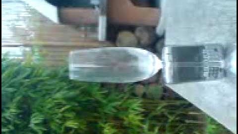 Amazing glass breaking ringtone!