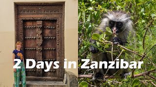 2 Days in Zanzibar, Tanzania - Historic Stone Town and Jozani Forest Walking Tours