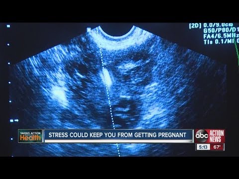 Video: Kan jag bli gravid när jag är gravid?