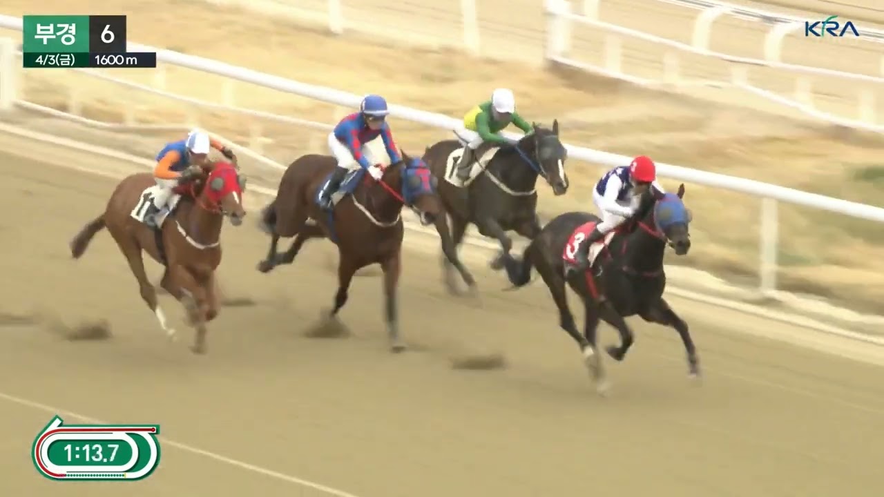 부경1조교사 협회장.강은석 .한구라.단승20.7배 우승