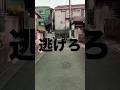 逃げろ