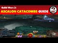 Guild Wars 2: Ascalon Catacombs Paths 1, 2 & 3 | GW2 Dungeon Guide for Noobs