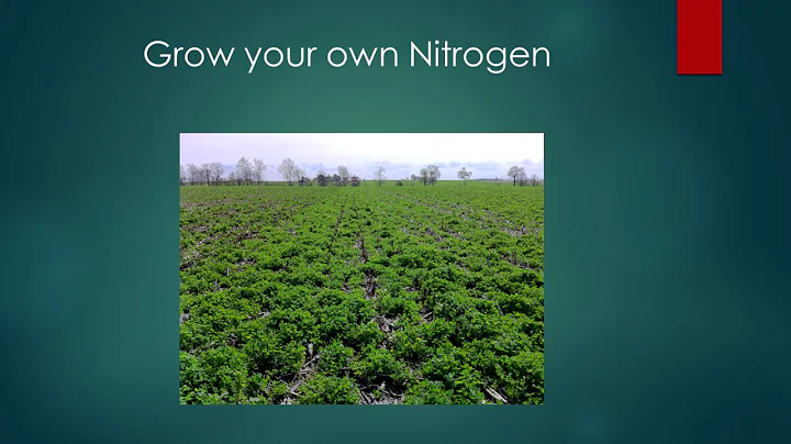 Terminating Cover Crops Plus Planting a Cash Crop ...