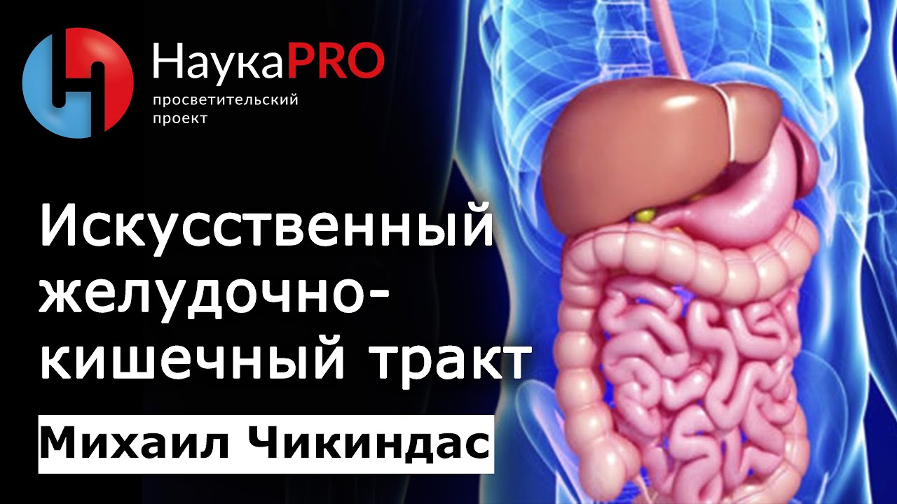 Искусственный желудочно-кишечный тракт (ЖКТ) | Лекции по биологии – биолог Михаил Чикиндас | Научпоп