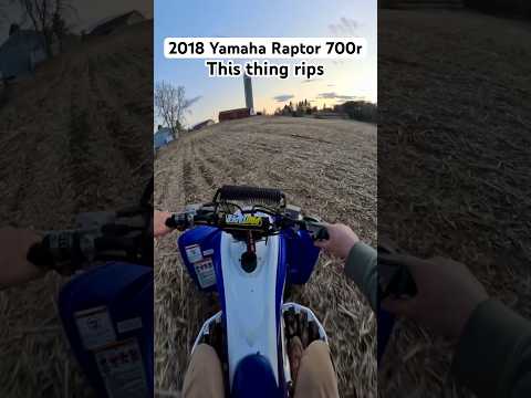 2018 Yamaha Raptor
