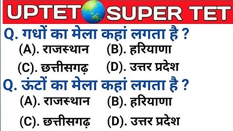 UPTET 2021 || Super TET EVS Important Questions || Super TET || UP LEKHPAL || SSC || RRB || UPPET
