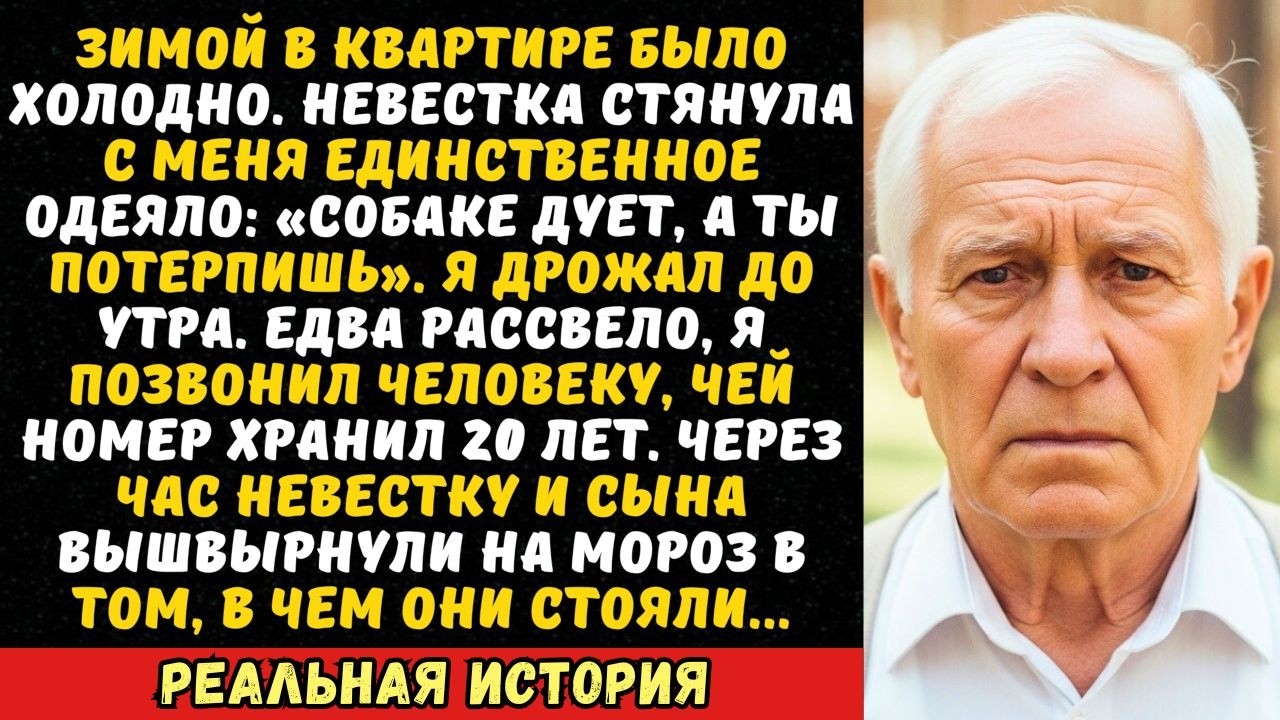 Невестка забрала у меня одеяло: «Собаке холоднее». Я всю ночь не спал, а утром сделал звонок.