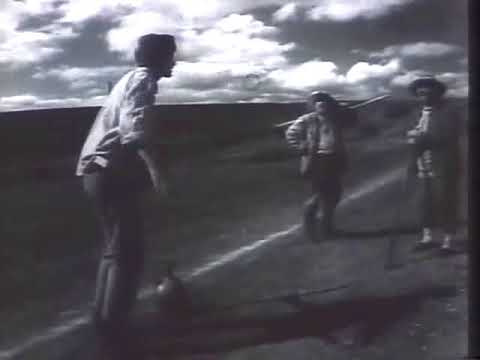 ილარიონ შევარდნაძე და ილიკო ჩიგოგიძე_cut_part2.avi