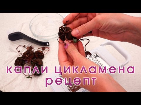 Капли из цикламена в домашних условиях