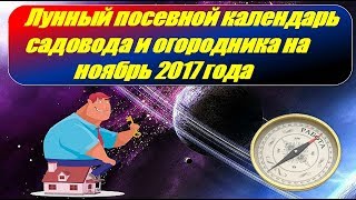 Лунный посевной календарь садовода и огородника на ноябрь 2017 года