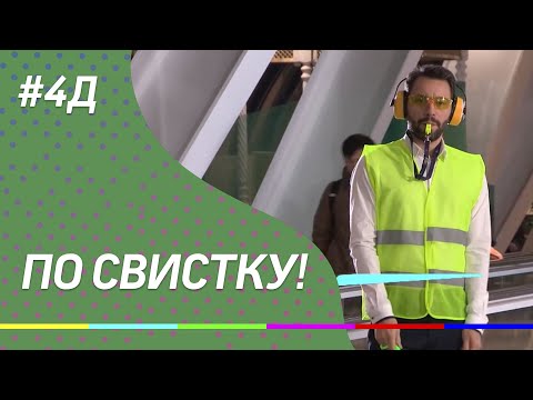 4Д Шоу Пранк: По свистку!