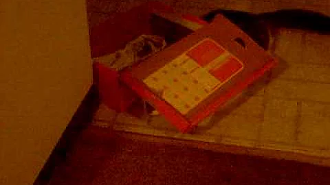 Lily & her Nike shoe box.