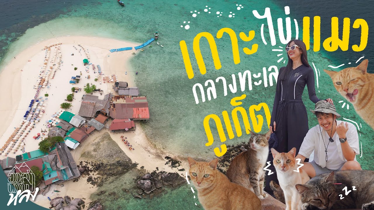 เกาะไข่แมว หาดสวย น้ำใส สวรรค์ของคนรักแมว | อาสาพาไปหลง