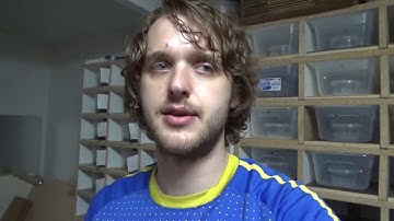 Female Ball Python Ovulation