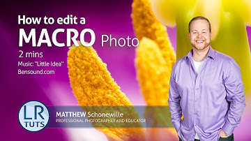 The Art of Editing in Lightroom: Creative Macro Edit