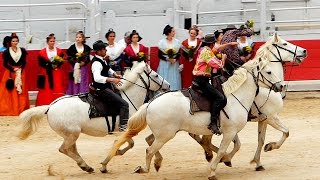 Arles, la fête des Gardians