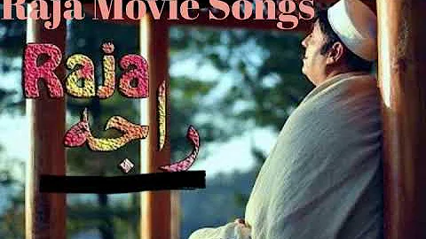 Pashto HD Public Demand Movie Songs Album Pashto HD Movie Raja Movie Songs