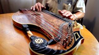 Rolf Playing the Zither