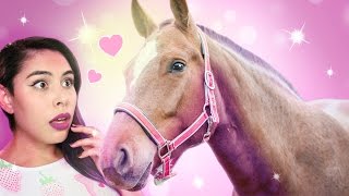IM IN LOVE WITH A HORSE...My Horse Prince App Game screenshot 5