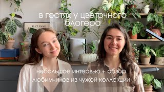 Обзор коллекции растений и знакомство с цветочным блогером. В гостях у Ани @Plantsandme