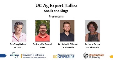 UC Ag Experts Talk: Snails and Slugs