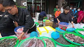 Taiwan Seafood Auction He Is A Super Star Youtube Taiwan Seafood Auction He Is A Super Star Youtube